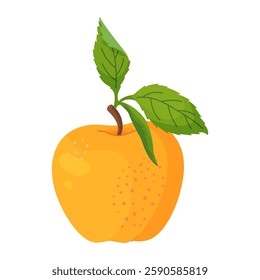 Yellow ripe apple with leaf, fresh garden fruit. Hand drawn food clipart. Whole fruit with green leaf, Flat style isolated on transparent background. Vector illustration