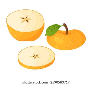 Yellow ripe apple slices, fresh garden fruit. Hand drawn food clipart. Slices of fresh yellow apple fruit, Flat style isolated on transparent background. Golden Delicious Vector illustration