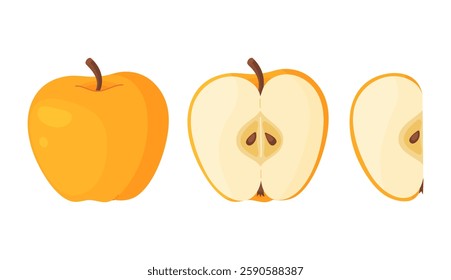 Yellow ripe apple. Whole, half, slice of fresh yellow apple garden fruit. Hand drawn food clipart. Cartoon apple fruit Flat style isolated, transparent background Golden Delicious Vector illustration