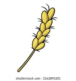 Yellow ripe ear, rye cereals, vector cartoon illustration on a white background