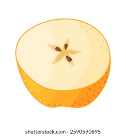Yellow ripe half apple, fresh garden fruit. Hand drawn food clipart. Half, slice of fresh yellow apple fruit, Flat style isolated on transparent background. Golden Delicious Vector illustration