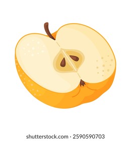 Yellow ripe half apple, fresh garden fruit. Hand drawn food clipart. Half, slice of fresh yellow apple fruit, Flat style isolated on transparent background. Golden Delicious Vector illustration
