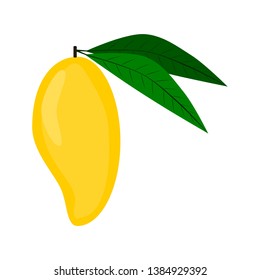 Yellow ripe mango with 2 leaves on a white background