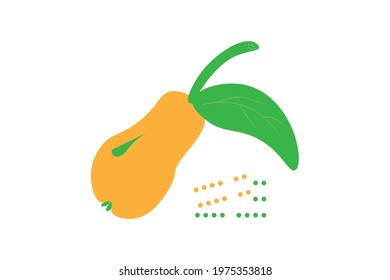 yellow ripe pear with a green leaf.vector illustration isolated on a white background.textile print, poster