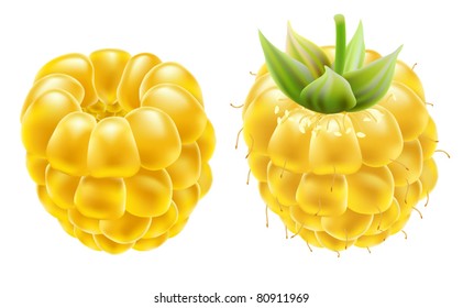 Yellow ripe raspberries on a white background. Vector illustration.