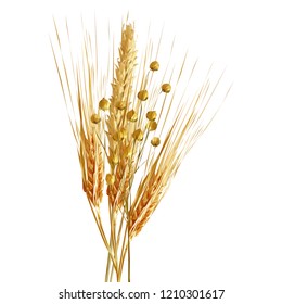 Yellow ripe spikelets and grains composition on white background. Delicious pastry. Elements for label design. Vector illustration. Cereals ingredients in triangulation technique. Cereals low poly. 