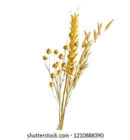 Yellow ripe spikelets and grains composition on white background. Delicious pastry. Elements for label design. Vector illustration. Cereals ingredients in triangulation technique. Cereals low poly. 