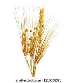 Yellow ripe spikelets and grains composition on white background. Delicious pastry. Elements for label design. Vector illustration. Cereals ingredients in triangulation technique. Cereals low poly. 