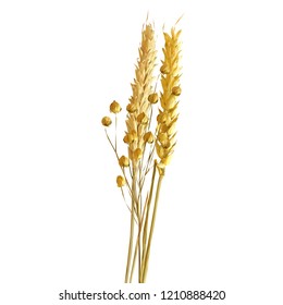 Yellow ripe spikelets and grains composition on white background. Delicious pastry. Elements for label design. Vector illustration. Cereals ingredients in triangulation technique. Cereals low poly. 