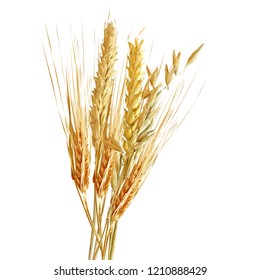 Yellow ripe spikelets and grains composition on white background. Delicious pastry. Elements for label design. Vector illustration. Cereals ingredients in triangulation technique. Cereals low poly. 
