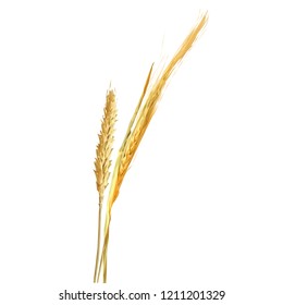 Yellow ripe spikelets and grains composition on white background. Delicious pastry. Elements for label design. Vector illustration. Cereals ingredients in triangulation technique. Cereals low poly. 