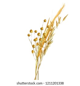 Yellow ripe spikelets and grains composition on white background. Delicious pastry. Elements for label design. Vector illustration. Cereals ingredients in triangulation technique. Cereals low poly. 