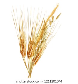 Yellow ripe spikelets and grains composition on white background. Delicious pastry. Elements for label design. Vector illustration. Cereals ingredients in triangulation technique. Cereals low poly. 