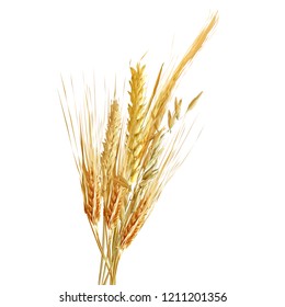 Yellow ripe spikelets and grains composition on white background. Delicious pastry. Elements for label design. Vector illustration. Cereals ingredients in triangulation technique. Cereals low poly. 