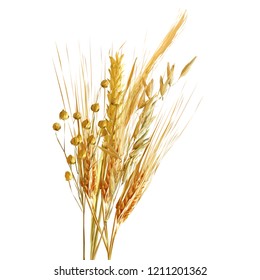 Yellow ripe spikelets and grains composition on white background. Delicious pastry. Elements for label design. Vector illustration. Cereals ingredients in triangulation technique. Cereals low poly. 