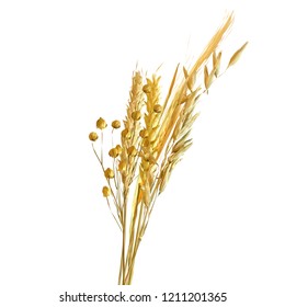 Yellow ripe spikelets and grains composition on white background. Delicious pastry. Elements for label design. Vector illustration. Cereals ingredients in triangulation technique. Cereals low poly. 