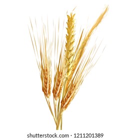 Yellow ripe spikelets and grains composition on white background. Delicious pastry. Elements for label design. Vector illustration. Cereals ingredients in triangulation technique. Cereals low poly. 