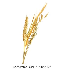 Yellow ripe spikelets and grains composition on white background. Delicious pastry. Elements for label design. Vector illustration. Cereals ingredients in triangulation technique. Cereals low poly. 