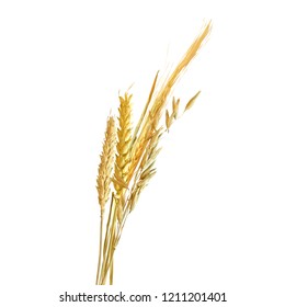 Yellow ripe spikelets and grains composition on white background. Delicious pastry. Elements for label design. Vector illustration. Cereals ingredients in triangulation technique. Cereals low poly. 