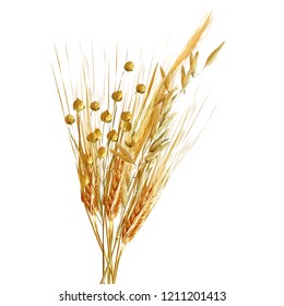 Yellow ripe spikelets and grains composition on white background. Delicious pastry. Elements for label design. Vector illustration. Cereals ingredients in triangulation technique. Cereals low poly. 