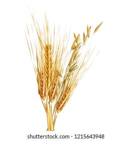 Yellow ripe spikelets and grains composition on white background. Delicious pastry. Elements for label design. Vector illustration. Cereals ingredients in triangulation technique. Cereals low poly. 