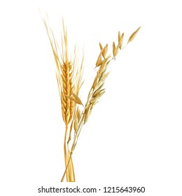Yellow ripe spikelets and grains composition on white background. Delicious pastry. Elements for label design. Vector illustration. Cereals ingredients in triangulation technique. Cereals low poly. 