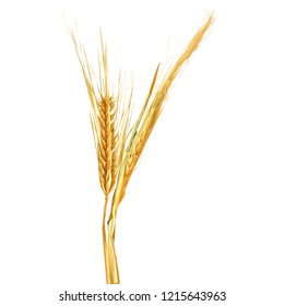 Yellow ripe spikelets and grains composition on white background. Delicious pastry. Elements for label design. Vector illustration. Cereals ingredients in triangulation technique. Cereals low poly. 