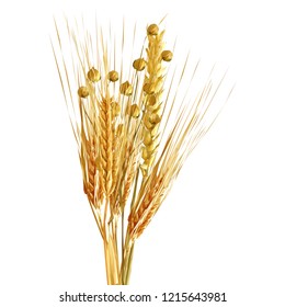 Yellow ripe spikelets and grains composition on white background. Delicious pastry. Elements for label design. Vector illustration. Cereals ingredients in triangulation technique. Cereals low poly. 