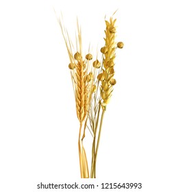 Yellow ripe spikelets and grains composition on white background. Delicious pastry. Elements for label design. Vector illustration. Cereals ingredients in triangulation technique. Cereals low poly.  - Shutterstock ID 1215643993
