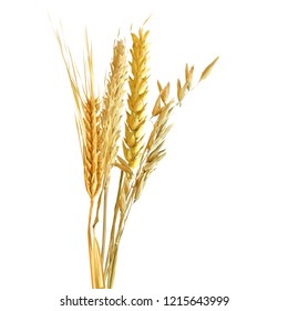 Yellow ripe spikelets and grains composition on white background. Delicious pastry. Elements for label design. Vector illustration. Cereals ingredients in triangulation technique. Cereals low poly. 