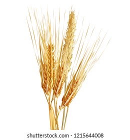 Yellow ripe spikelets and grains composition on white background. Delicious pastry. Elements for label design. Vector illustration. Cereals ingredients in triangulation technique. Cereals low poly. 