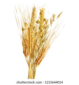 Yellow ripe spikelets and grains composition on white background. Delicious pastry. Elements for label design. Vector illustration. Cereals ingredients in triangulation technique. Cereals low poly. 