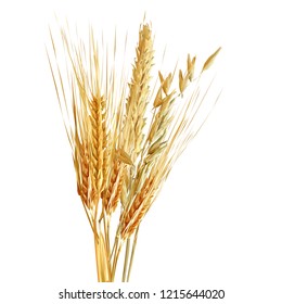 Yellow ripe spikelets and grains composition on white background. Delicious pastry. Elements for label design. Vector illustration. Cereals ingredients in triangulation technique. Cereals low poly. 