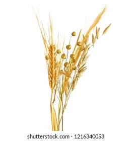 Yellow ripe spikelets and grains composition on white background. Delicious pastry. Elements for label design. Vector illustration. Cereals ingredients in triangulation technique. Cereals low poly. 