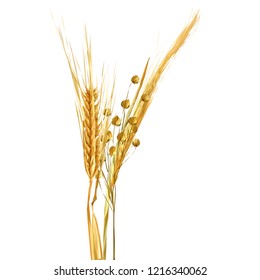 Yellow ripe spikelets and grains composition on white background. Delicious pastry. Elements for label design. Vector illustration. Cereals ingredients in triangulation technique. Cereals low poly. 