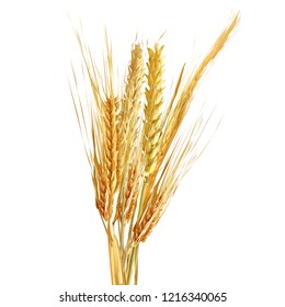 Yellow ripe spikelets and grains composition on white background. Delicious pastry. Elements for label design. Vector illustration. Cereals ingredients in triangulation technique. Cereals low poly. 