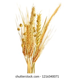 Yellow ripe spikelets and grains composition on white background. Delicious pastry. Elements for label design. Vector illustration. Cereals ingredients in triangulation technique. Cereals low poly. 