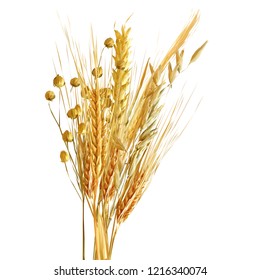 Yellow ripe spikelets and grains composition on white background. Delicious pastry. Elements for label design. Vector illustration. Cereals ingredients in triangulation technique. Cereals low poly. 