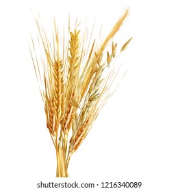 Yellow ripe spikelets and grains composition on white background. Delicious pastry. Elements for label design. Vector illustration. Cereals ingredients in triangulation technique. Cereals low poly. 