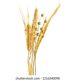 Yellow ripe spikelets and grains composition on white background. Delicious pastry. Elements for label design. Vector illustration. Cereals ingredients in triangulation technique. Cereals low poly. 