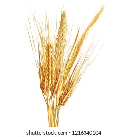 Yellow ripe spikelets and grains composition on white background. Delicious pastry. Elements for label design. Vector illustration. Cereals ingredients in triangulation technique. Cereals low poly. 