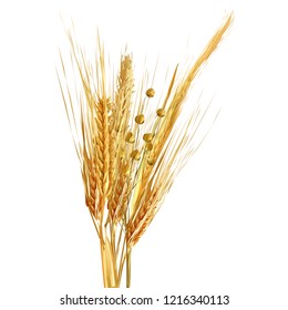 Yellow ripe spikelets and grains composition on white background. Delicious pastry. Elements for label design. Vector illustration. Cereals ingredients in triangulation technique. Cereals low poly. 