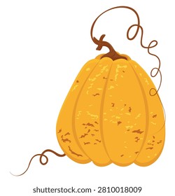 Yellow ripe triangular-shaped pumpkin. Realistic vector isolated. Autumn harvest textured vegetable