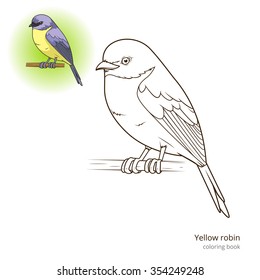 Yellow robin bird learn birds educational game coloring book vector illustration