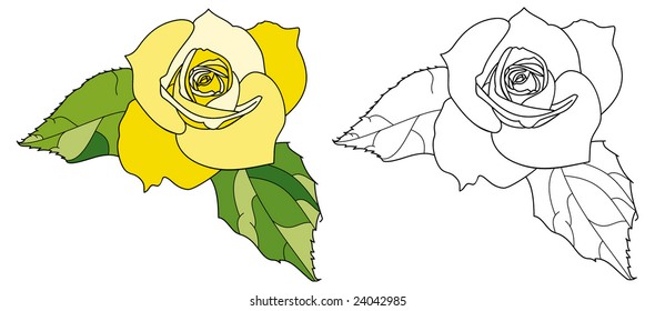 Yellow rose