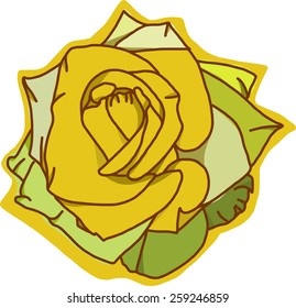 a yellow rose