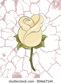 Yellow Rose abstract texture background. Vector
