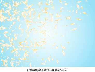 Yellow Rose Beauty Vector Blue Background. Light Japan Blossom Cover. Delicate Cherry Tender Wallpaper. White Floral Falling Texture. Spring Petal Banner.