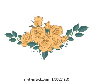 Yellow rose colorful vector illustration