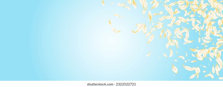 Yellow Rose Falling Vector Panoramic Blue Background. Beige Japanese Cherry Frame. Delicate Peach Fly Cover. White Lotus Blur Backdrop. Spring Blossom Texture.